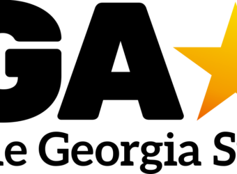 the georgia star logo